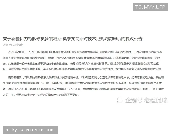 深度解析教练技术犯规规则的判定细节与罚则