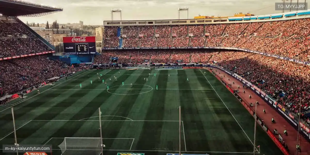 🏀全明星阵容，震撼来袭！篮球联赛官网，每一场都是视觉盛宴！🎯💥